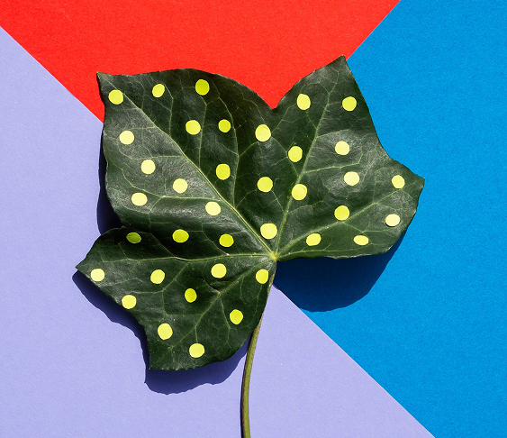 Lámina decorativa “Latino Mood”